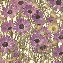 Purple Daisies Floral Print Italian Paper ~ Leonardo Communication